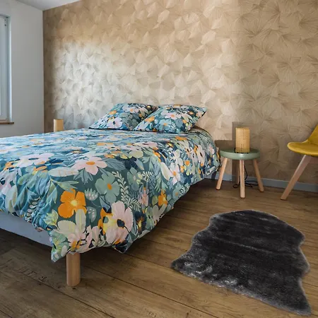 Apartment Plein Centre 
